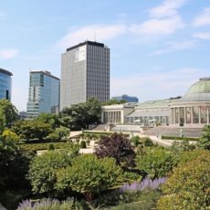 Jardin botanique dans la commune de Bruxelles