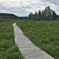 Paysage des Hautes Fagnes