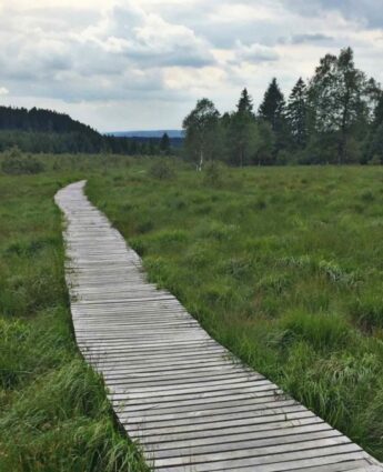 Paysage des Hautes Fagnes