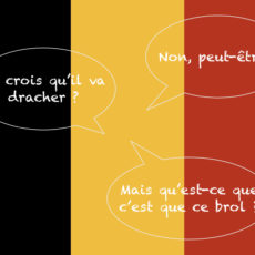 Le belge expliqué aux Français