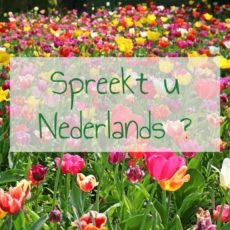 Apprendre le néerlandais