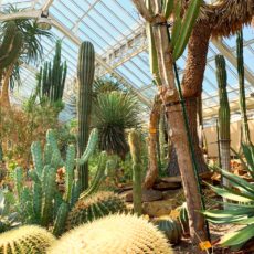 Jardin Botanique de Meise