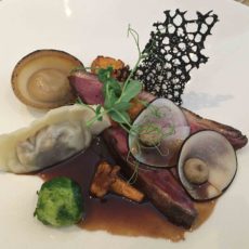 Canard et gyoza de boudin noir