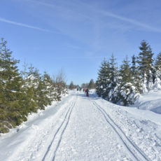 Hautes-Fagnes Belgique Neige ski