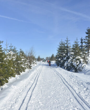 Hautes-Fagnes Belgique Neige ski