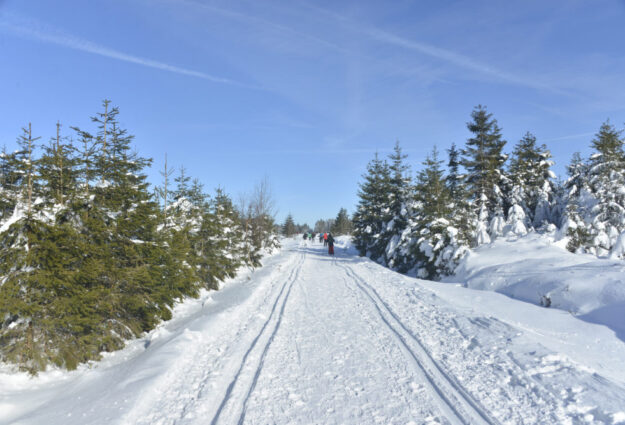 Hautes-Fagnes Belgique Neige ski