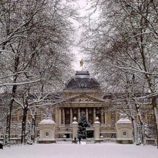 Bruxelles en hiver