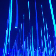 festival lumière bruxelles