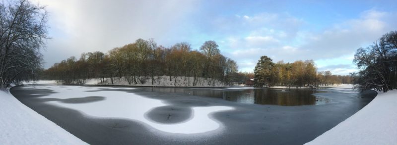 Parc du Bois de la Cambre : été comme hiver - Vivre à ...