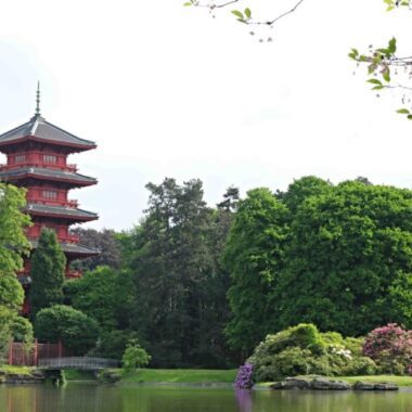 Tour japonaise serres royales laeken