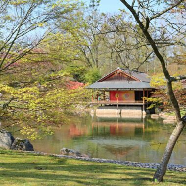 Jardin japonais Hasselt