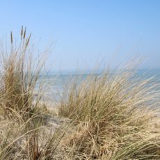 Plage de la Panne