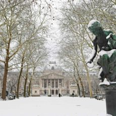 Parc Royal neige