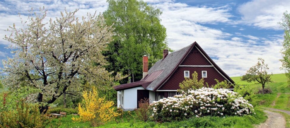 Conseils et astuces pour décorer votre maison en Belgique